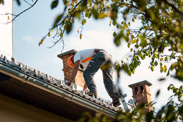 Best Roof Repair Services  in Orfordville, WI